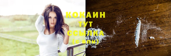 молекула духа Медногорск