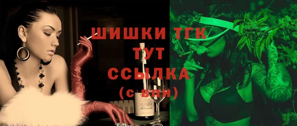 молекула духа Медногорск