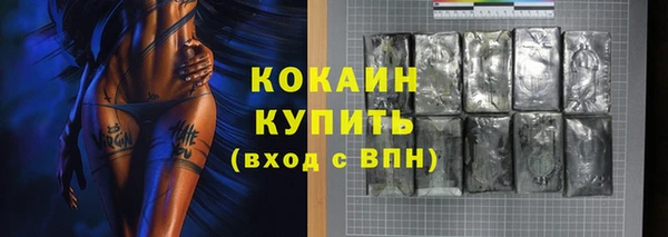 молекула духа Мегион