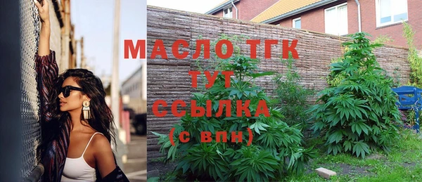 молекула духа Медногорск