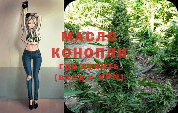молекула духа Мегион