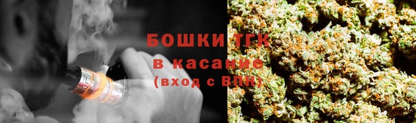 молекула духа Мегион