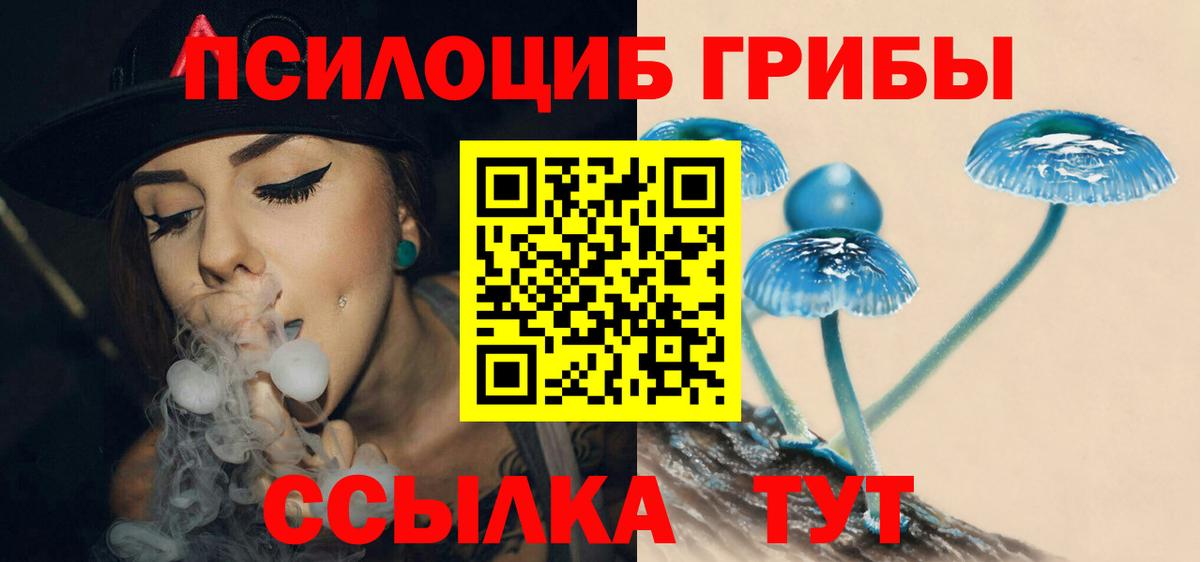 Галлюциногенные грибы прущие грибы Луховицы