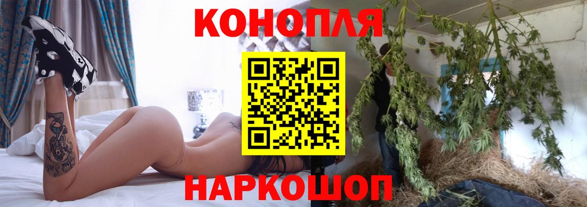 Бошки Шишки ГИДРОПОН  Канабис конопля  Луховицы  Вход с VPN 